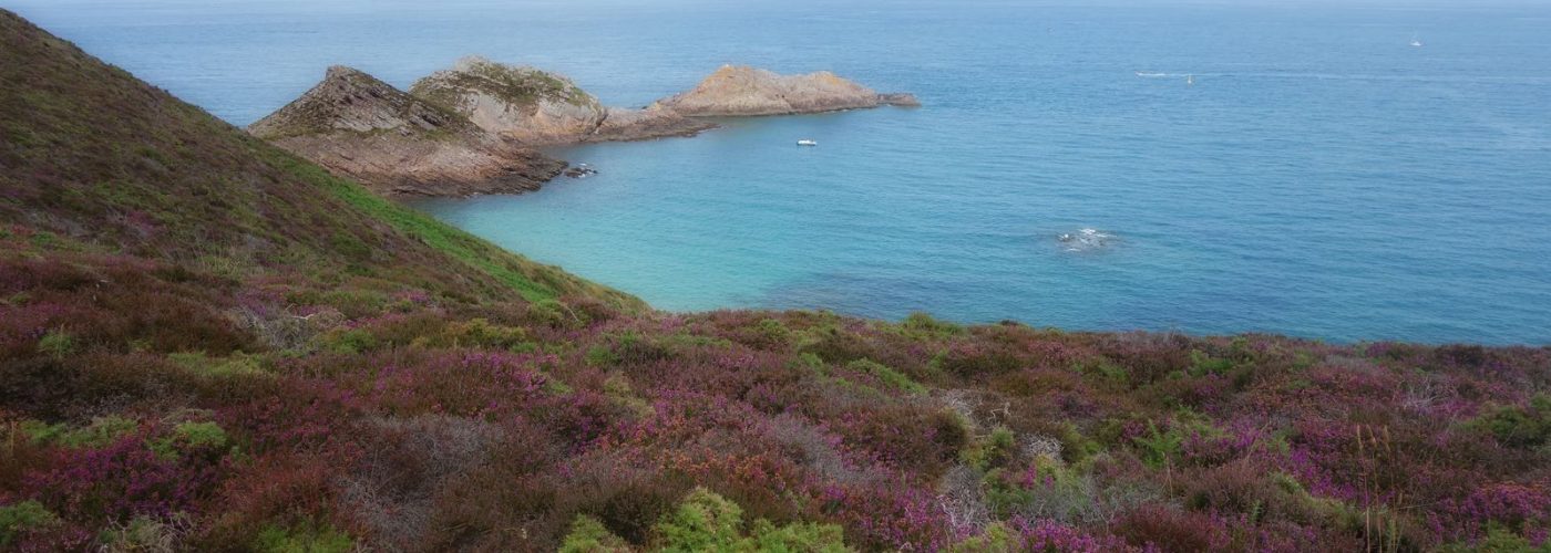 Cap d'Erquy, lande et mer, cote du GR34 en Bretagne